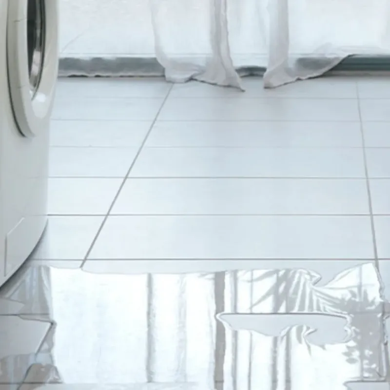 Appliance Leak Cleanup in Philippi, WV
