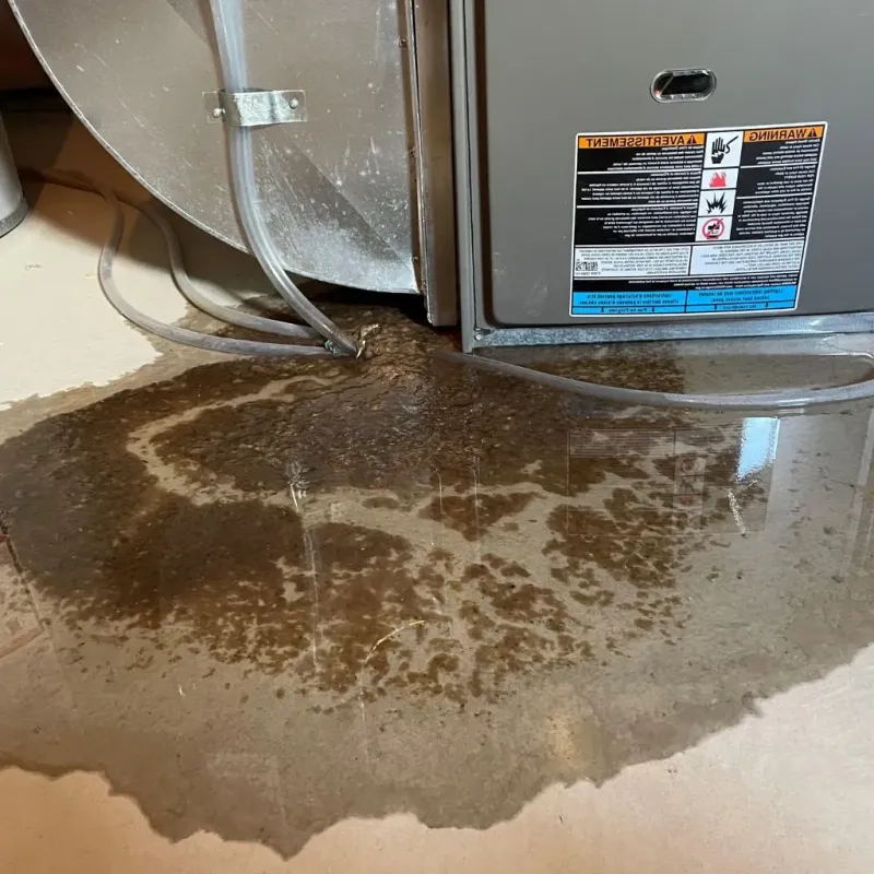 Pipe Burst and Leak Restoration in Philippi, WV
